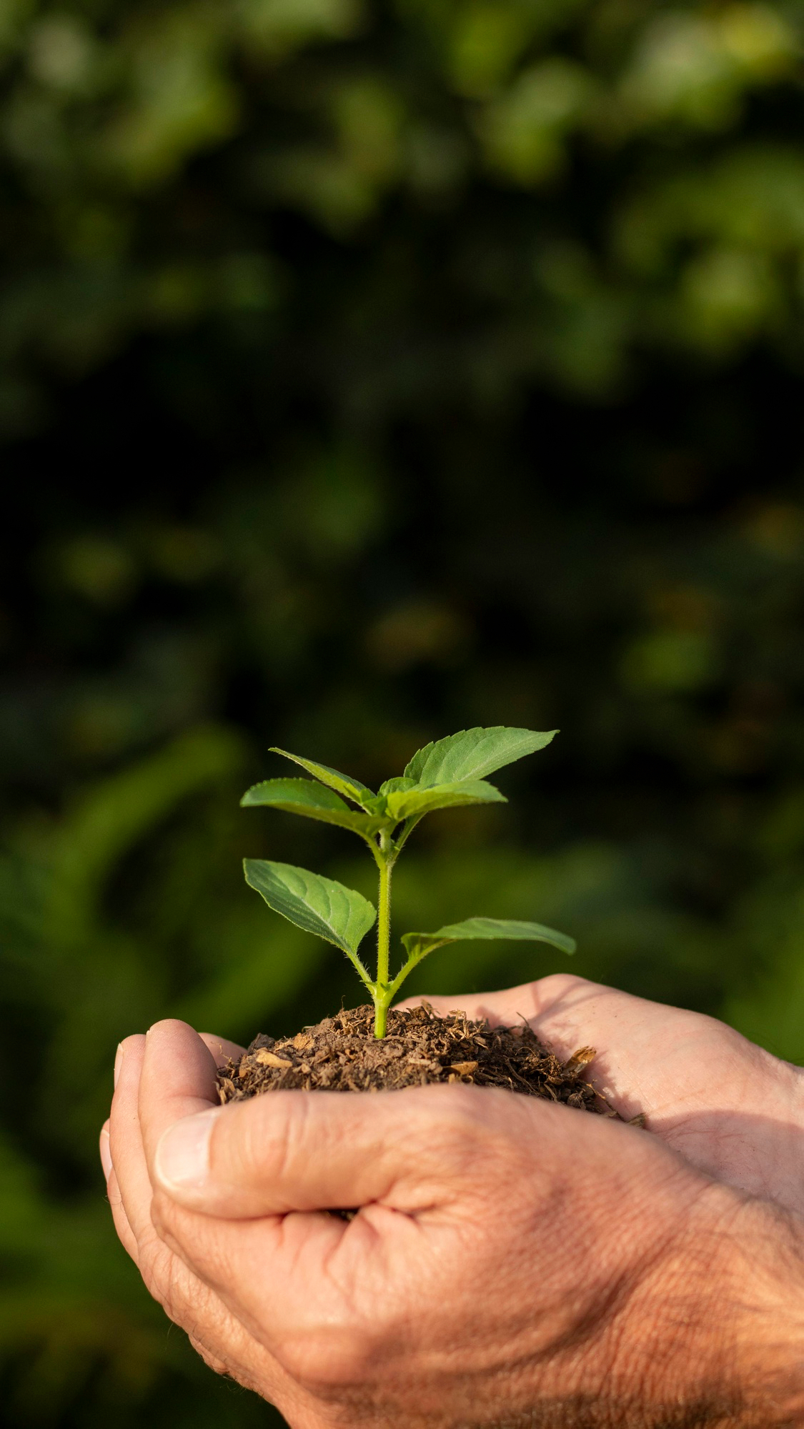 Approfondimenti normativi e tecnici sul metodo di produzione biologica