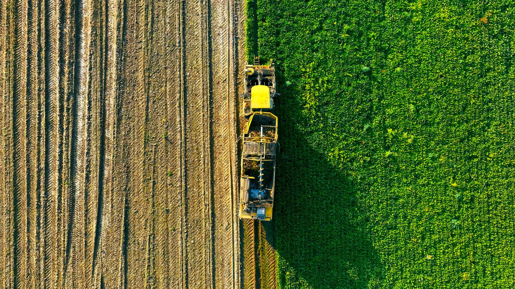 Consulenza Aziendale in Agricoltura: Al via il nuovo bando CSR SRH01