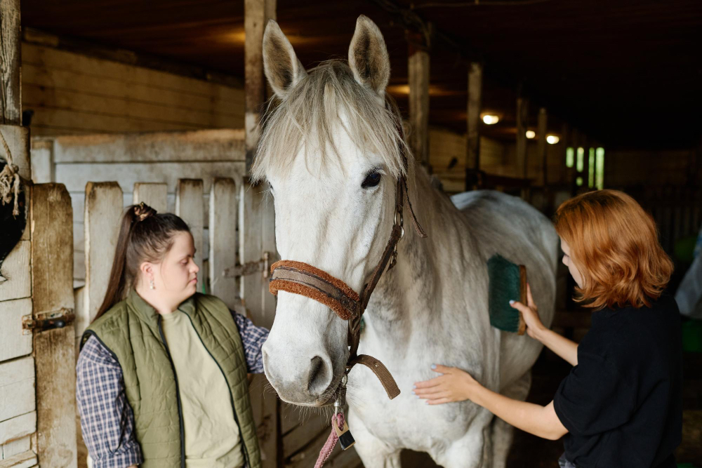 Corso di formazione propedeutico previsto dalle Linee Guida per gli Interventi assistiti con gli animali (IAA)