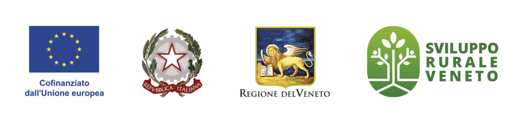 Progetto FD.STOP (concluso)